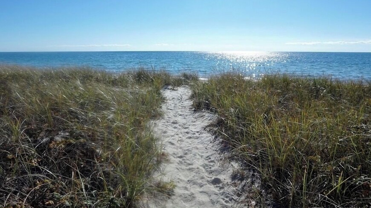 Photo of Others in West Hyannisport