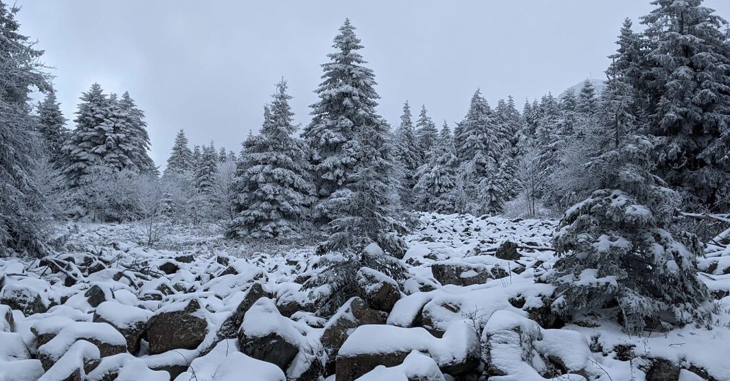 Photo of Outdoor in Usclades-et-Rieutord