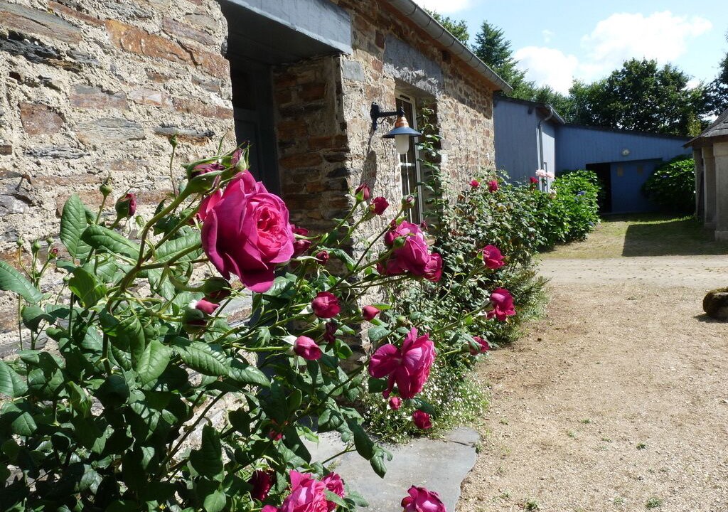 Photo of Outdoor in Saint-Igeaux