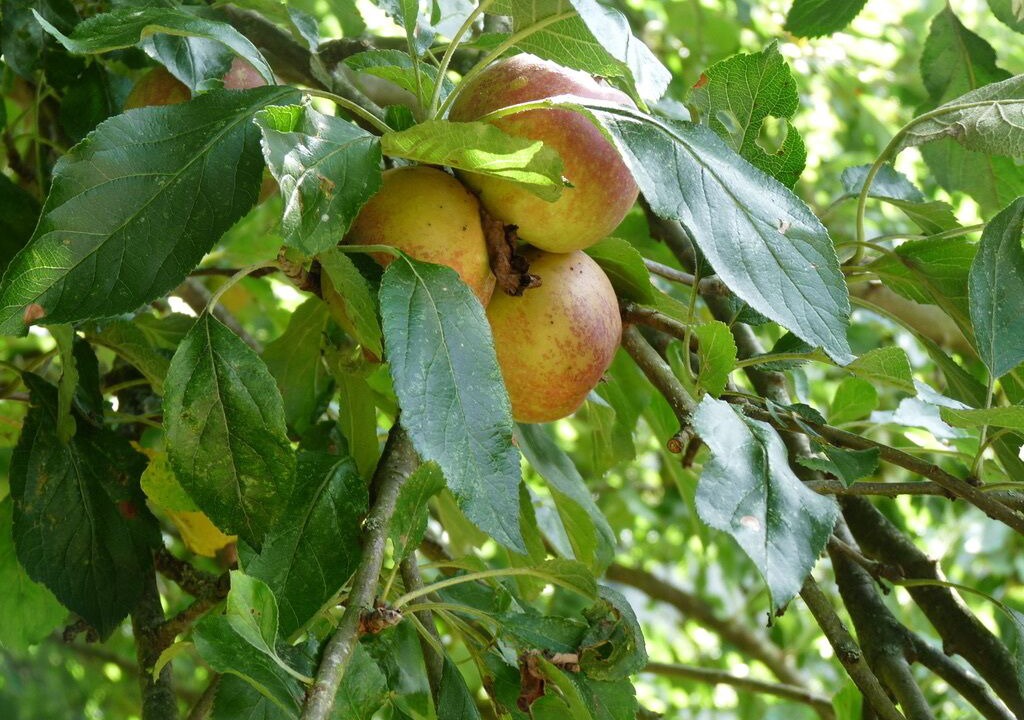 Photo of Outdoor in Saint-Igeaux