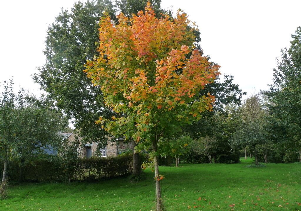 Photo of Outdoor in Saint-Igeaux