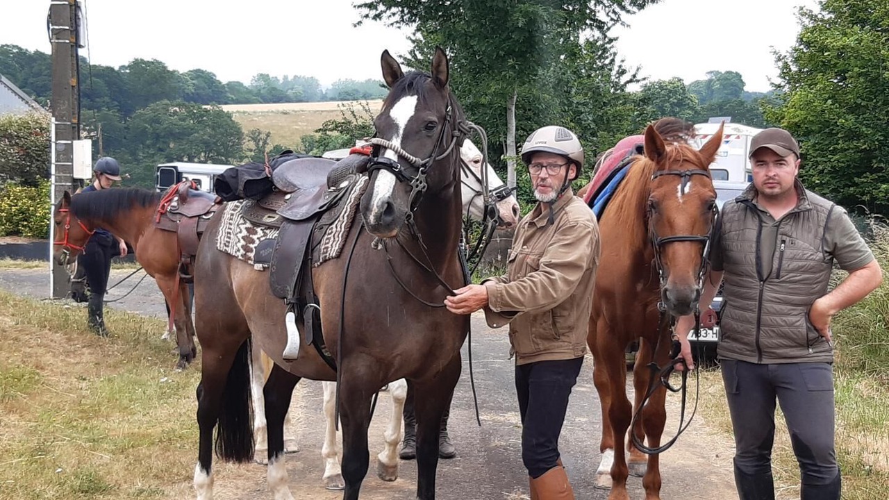 Photo of Others in Plouguenast