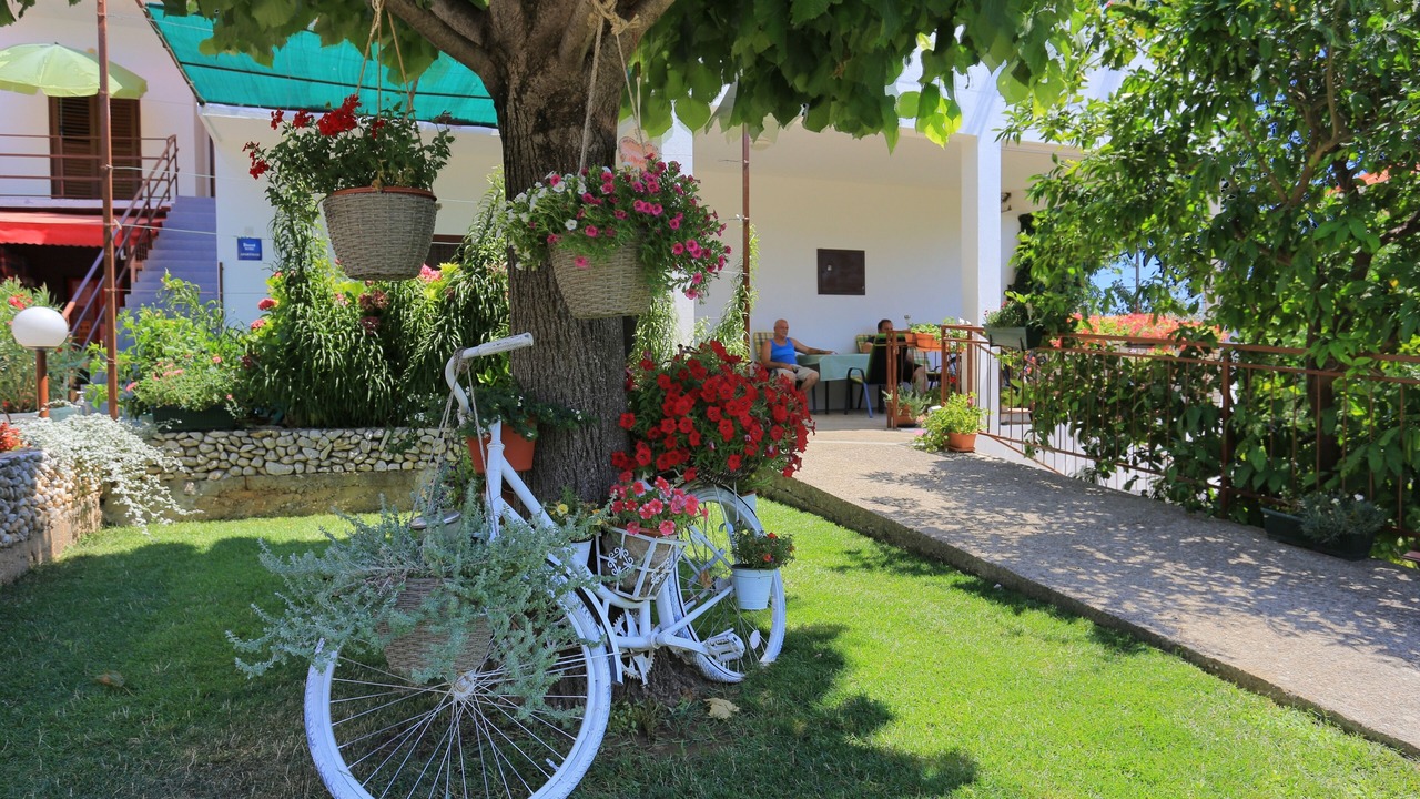 Photo of Outdoor in Blato