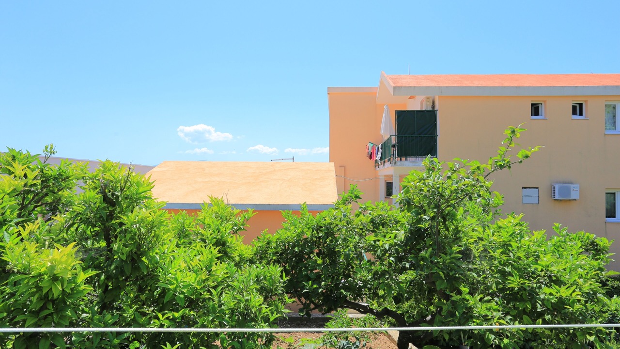 Photo of Others in Blato