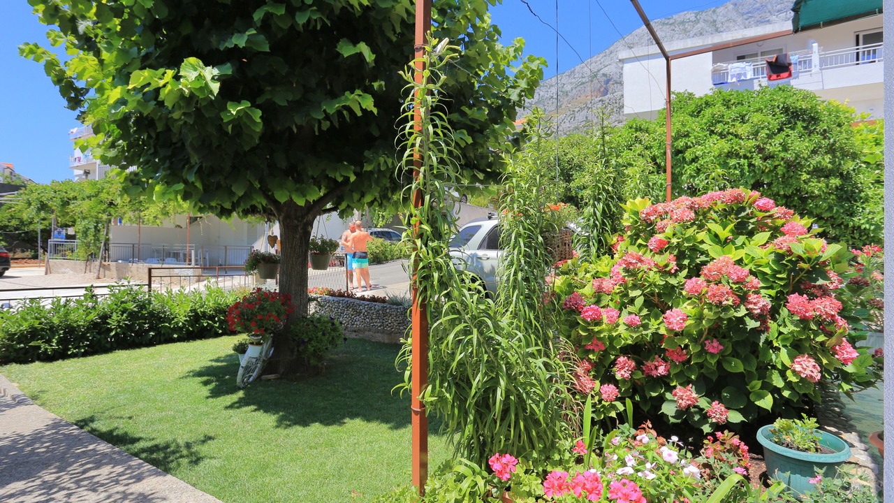 Photo of Outdoor in Blato