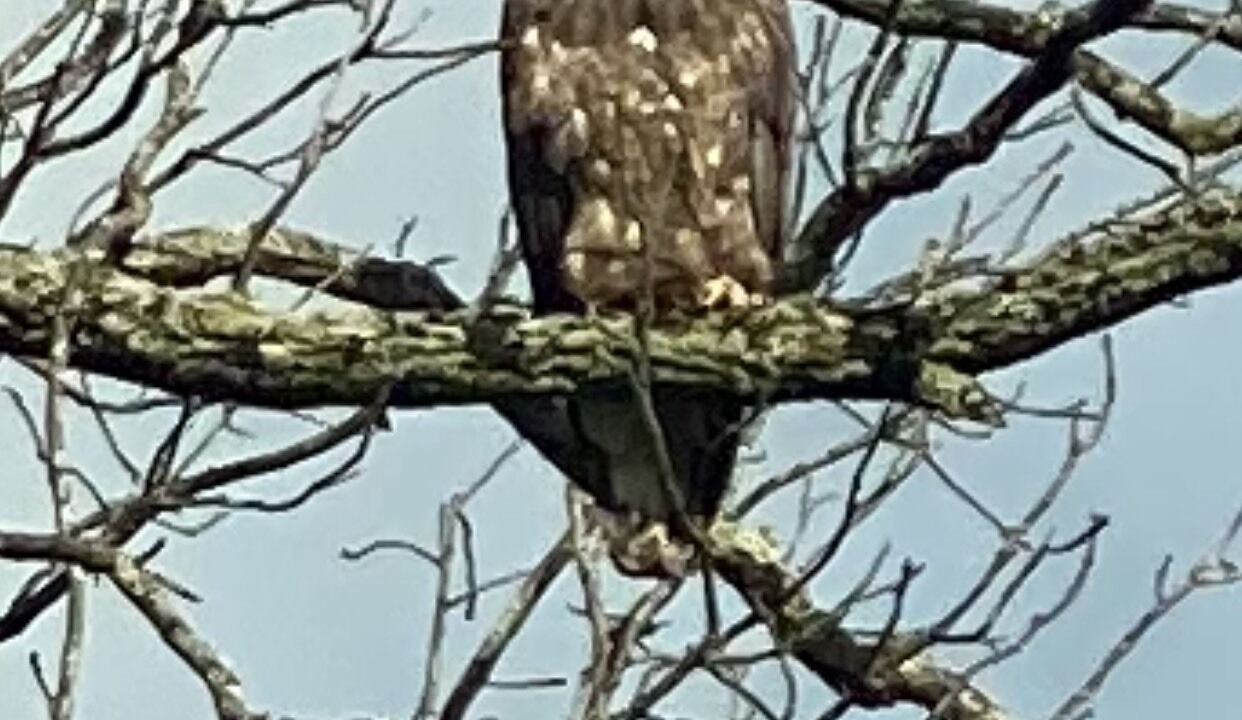 Photo of Outdoor in Madison