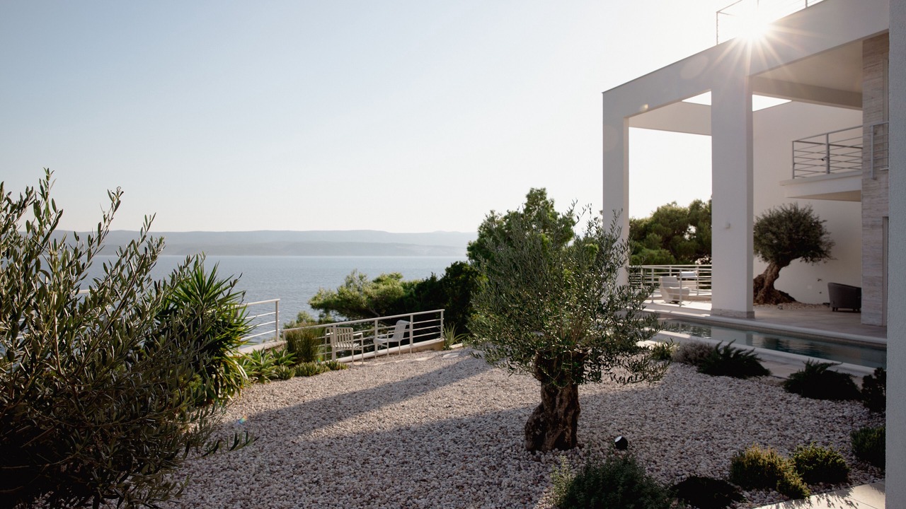 Photo of Outdoor in Medici