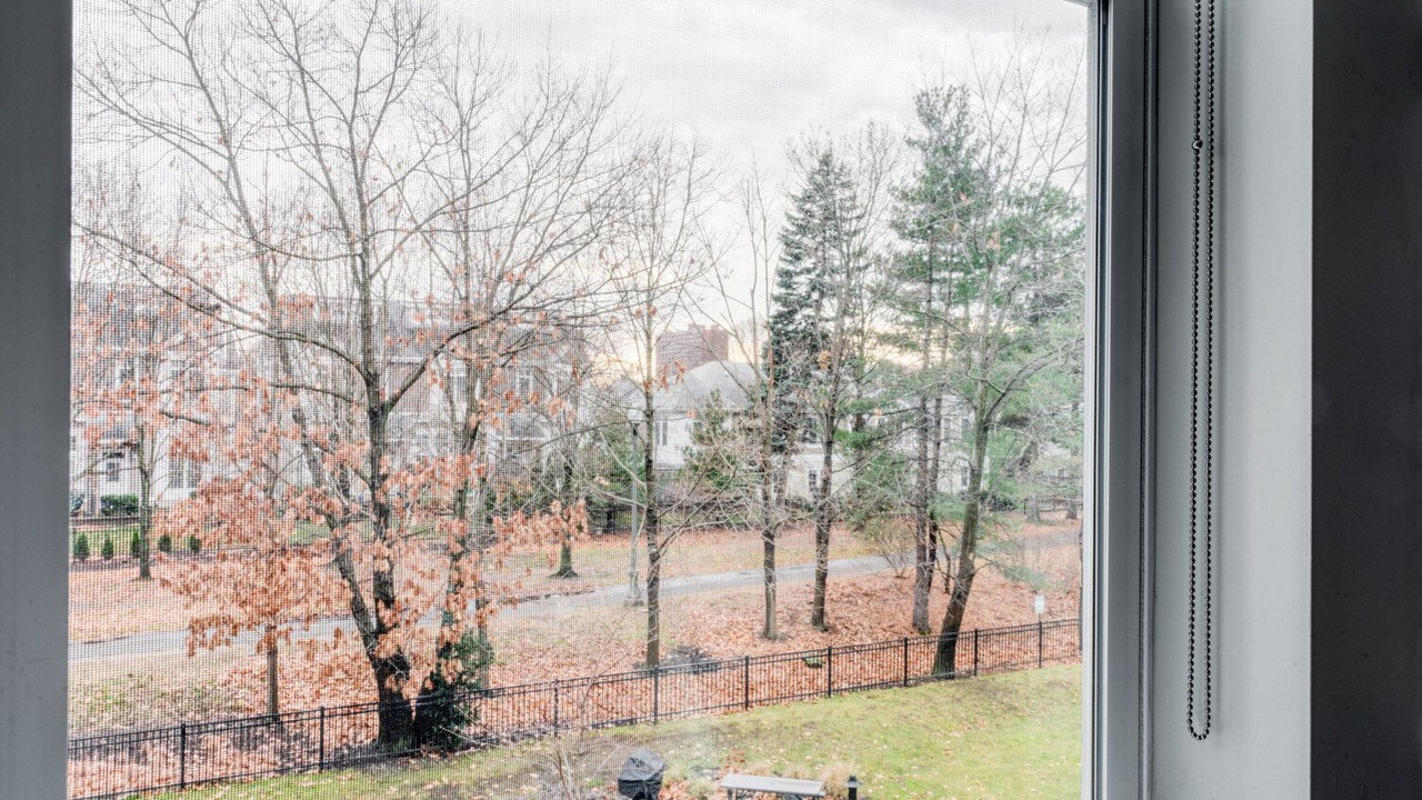 Photo of Others in North Cambridge