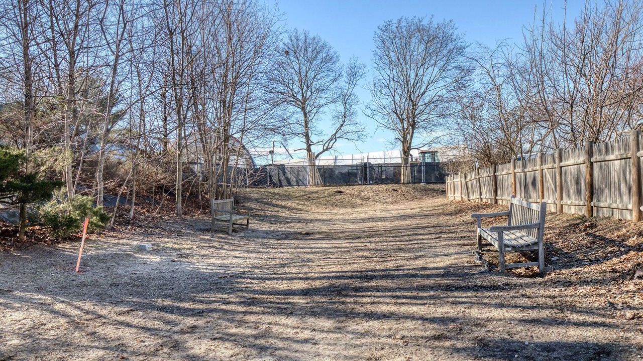Photo of Outdoor in North Cambridge