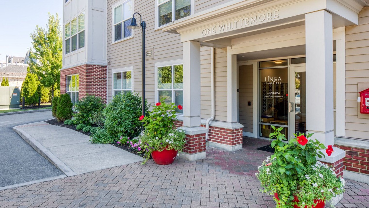 Photo of Outdoor in North Cambridge