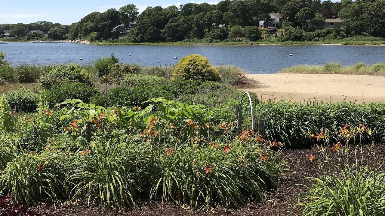 Photo of Outdoor in East Falmouth