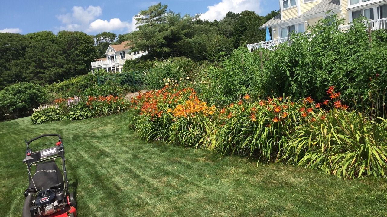 Photo of Outdoor in East Falmouth