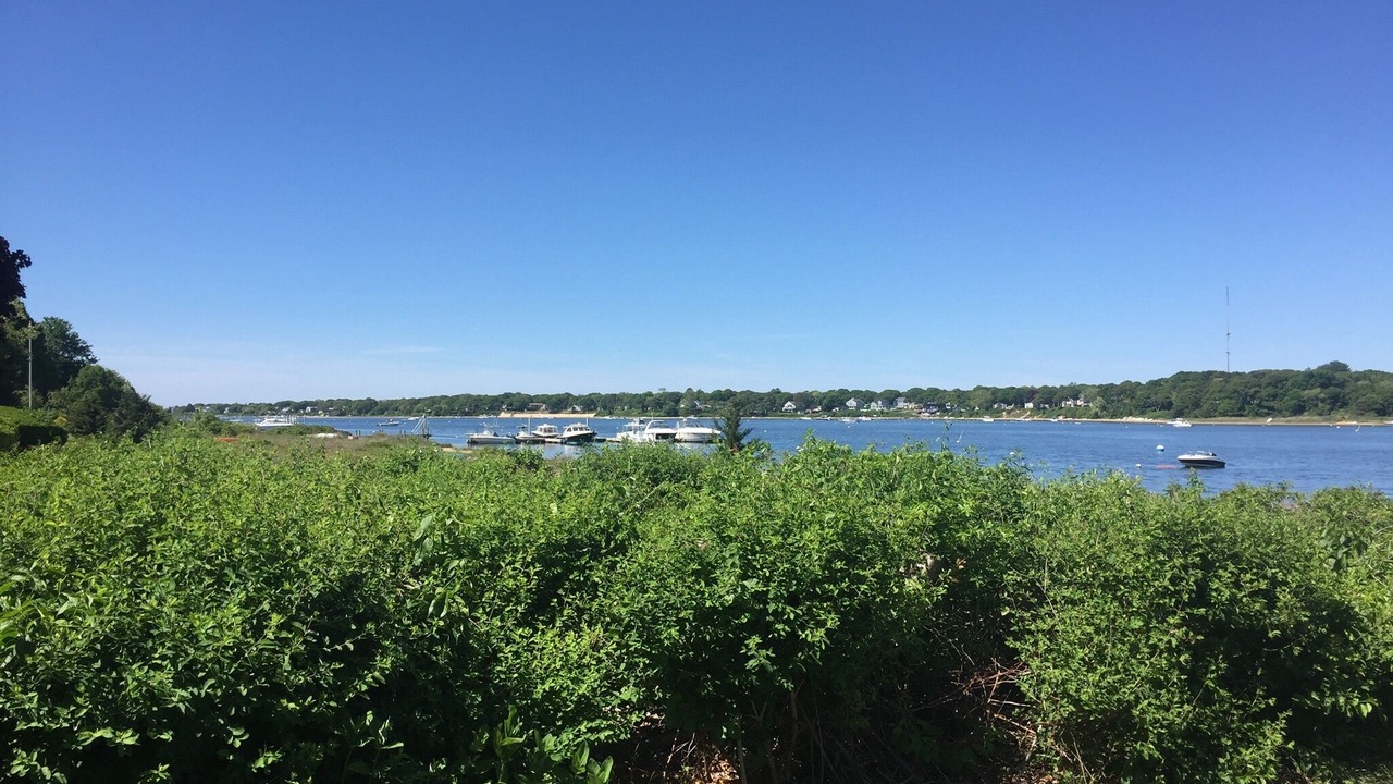 Photo of Others in East Falmouth
