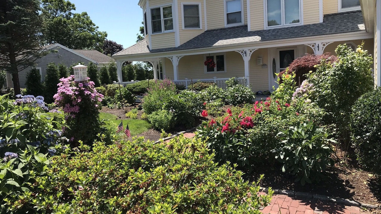 Photo of Outdoor in East Falmouth