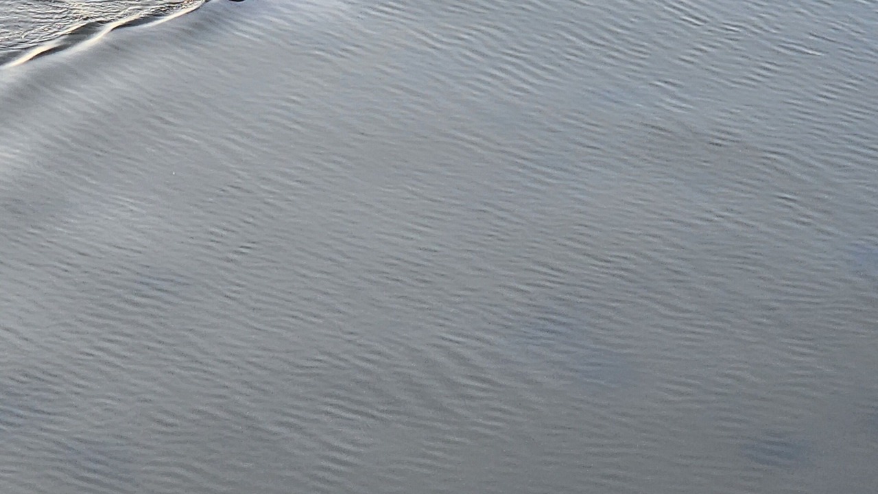 Photo of Others in Titusville