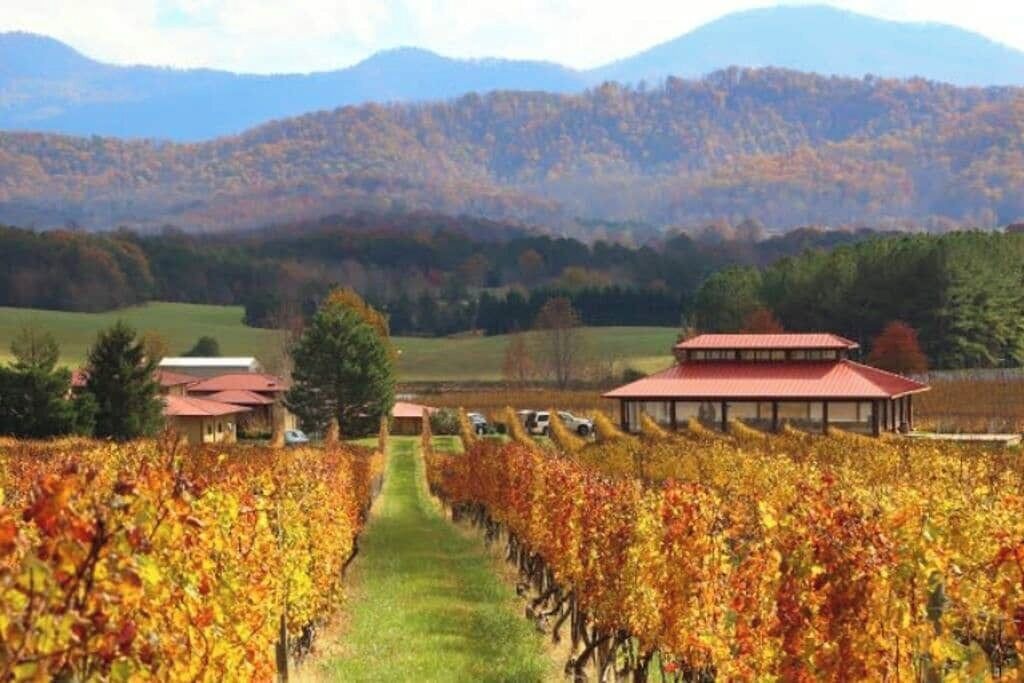 Photo of Others in Afton