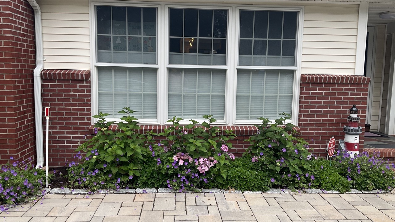 Photo of Outdoor in West Harwich