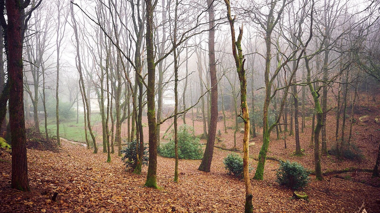 Photo of Outdoor in Camors