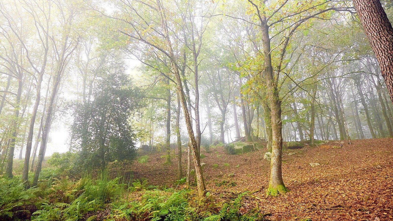 Photo of Outdoor in Camors