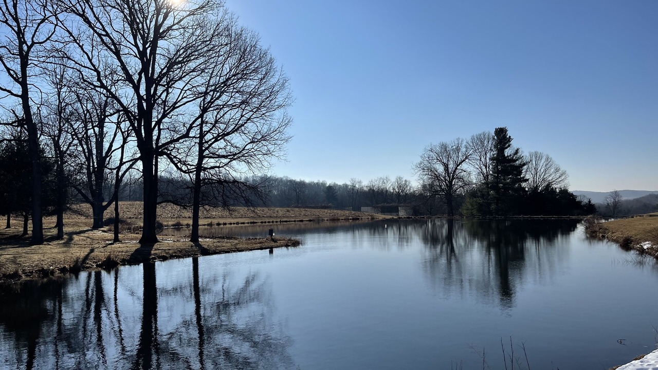 Photo of Others in Hollowville