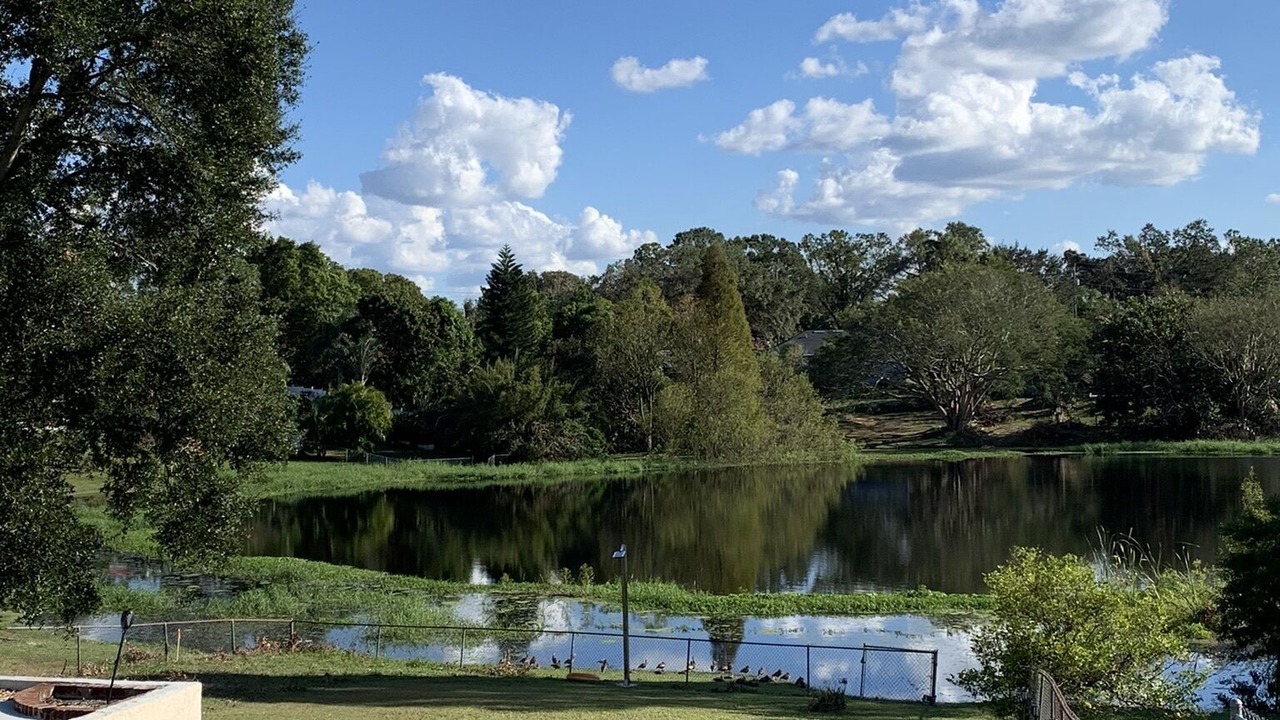 Photo of Outdoor in Cypress Gardens