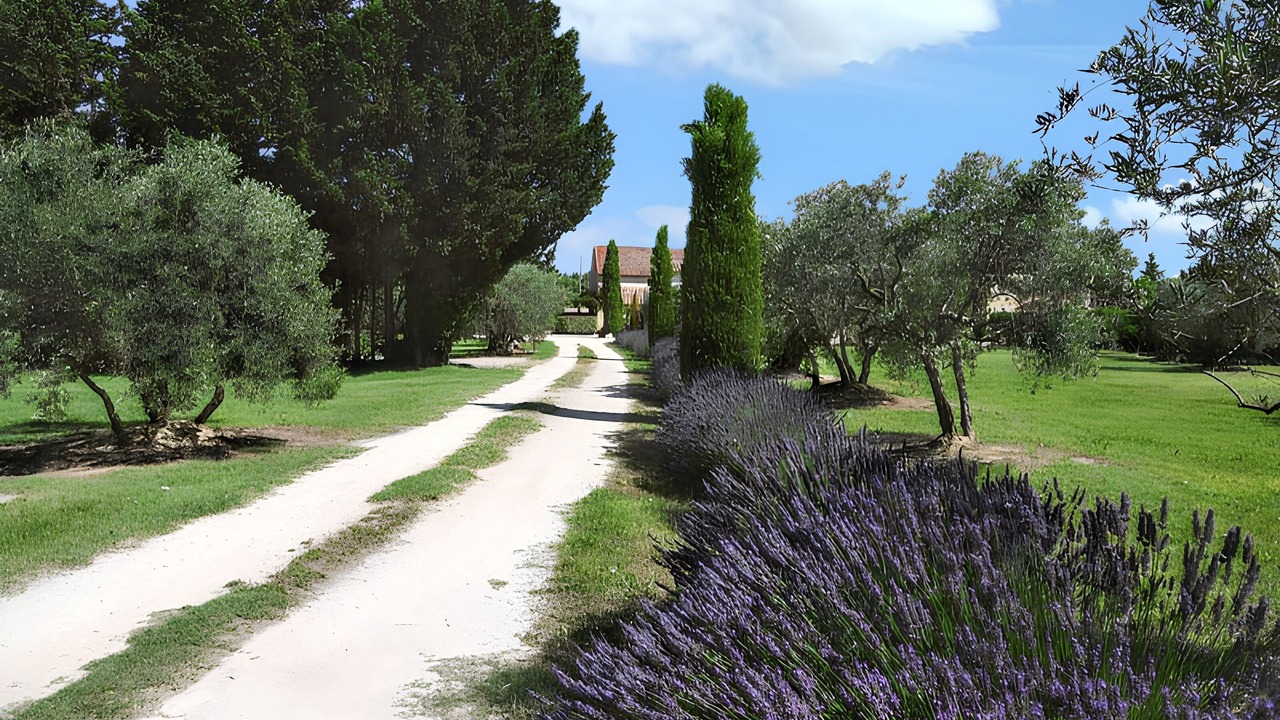 Photo of Others in Monteux