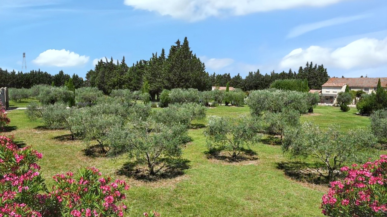 Photo of Outdoor in Monteux