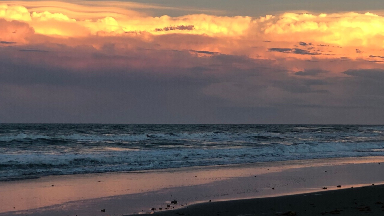 Photo of Others in Cocoa Beach