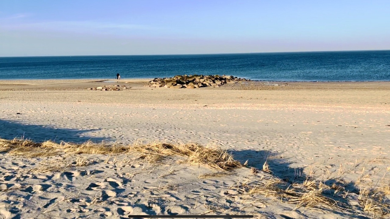 Photo of Others in Sandwich