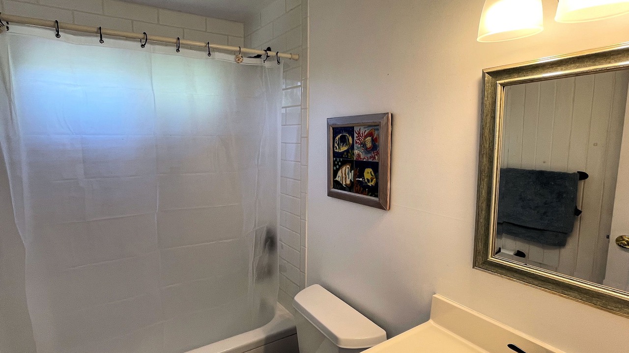 Photo of Bathroom in Piney Island