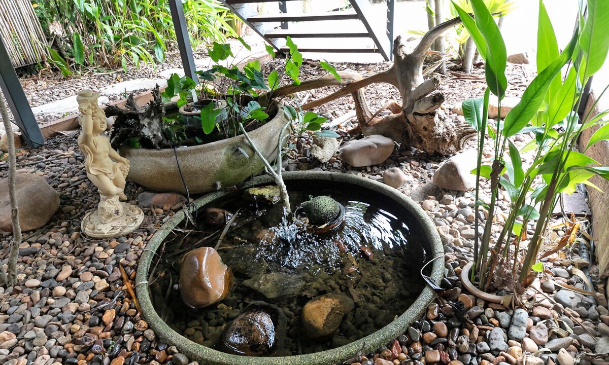Photo of Outdoor in Rapid Creek