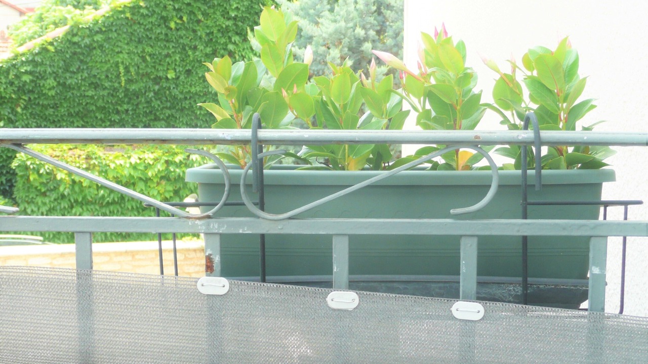 Photo of Outdoor in Avignon