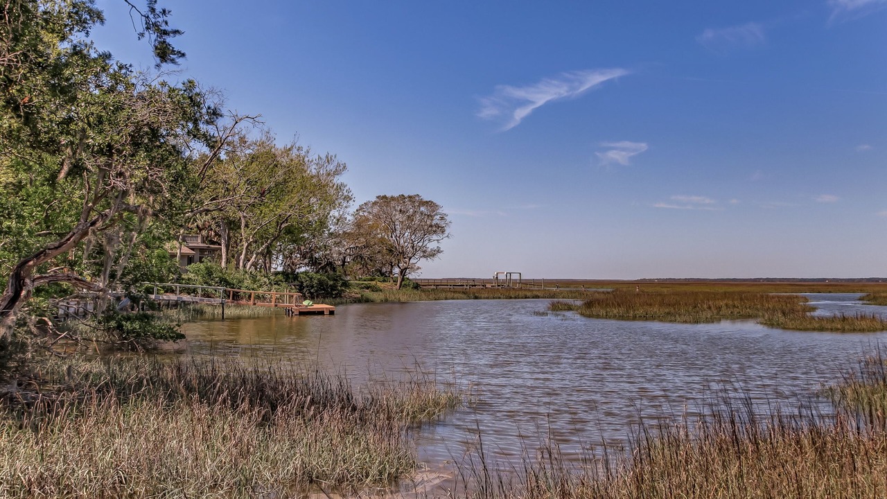 Photo of Outdoor in Fernandina Beach