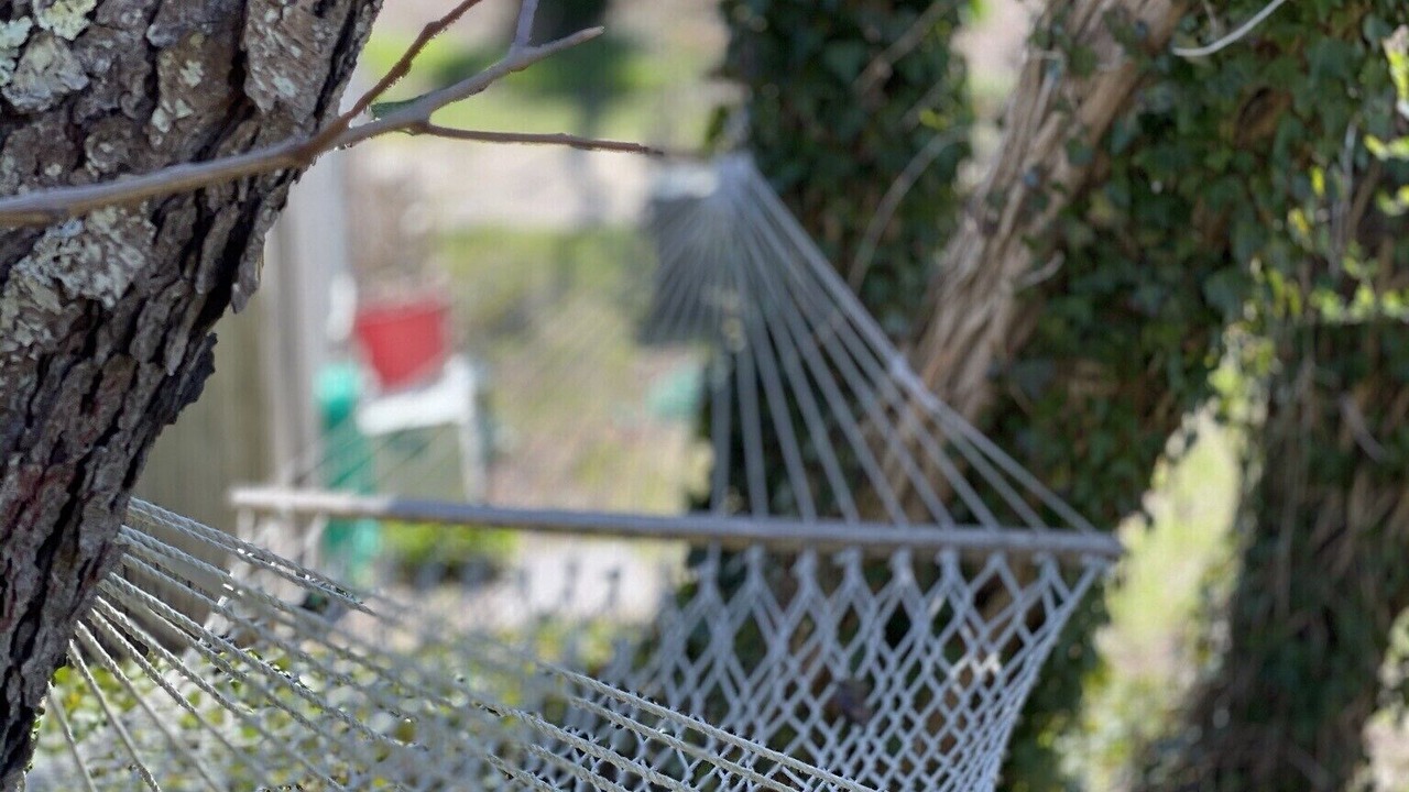 Photo of Others in Wellfleet