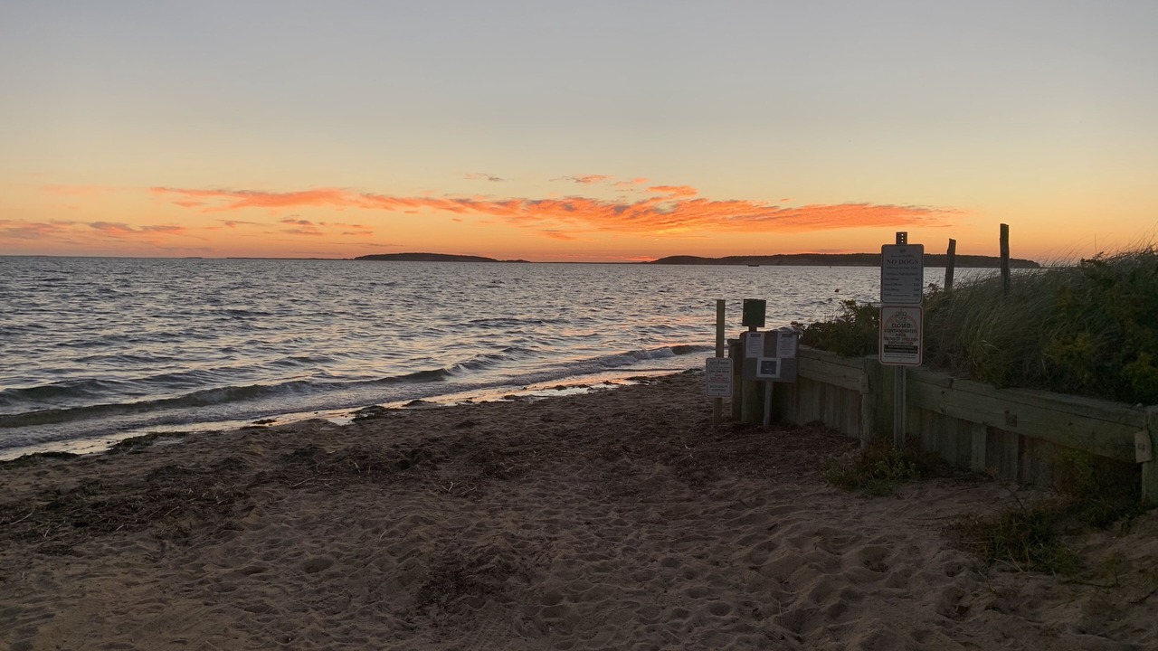 Photo of Others in Wellfleet