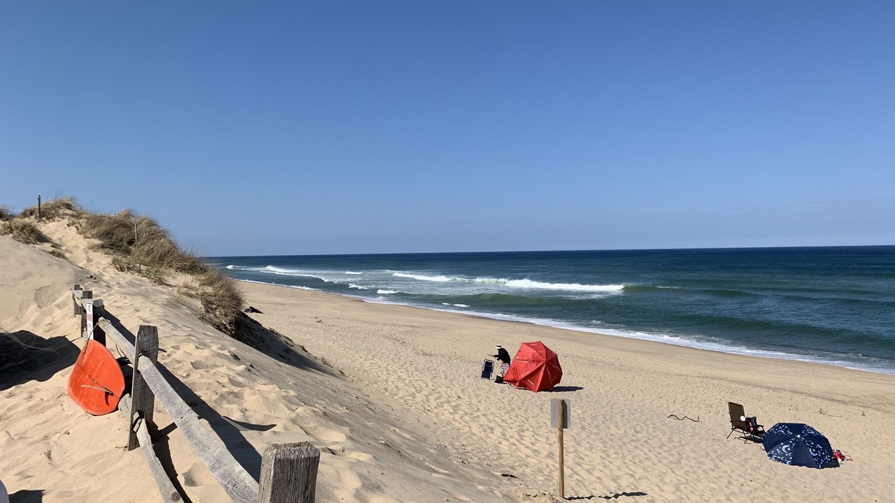 Photo of Others in Wellfleet