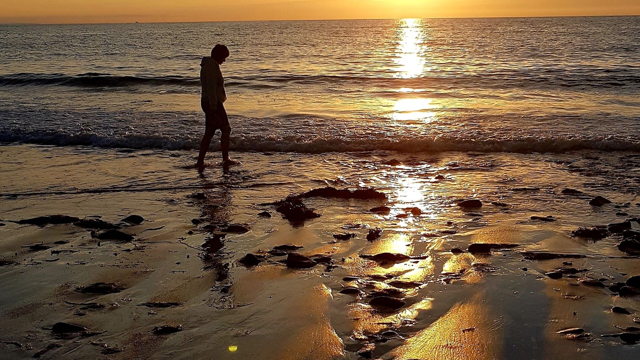 Photo of Others in Pleherel-Plage-Vieux-Bourg