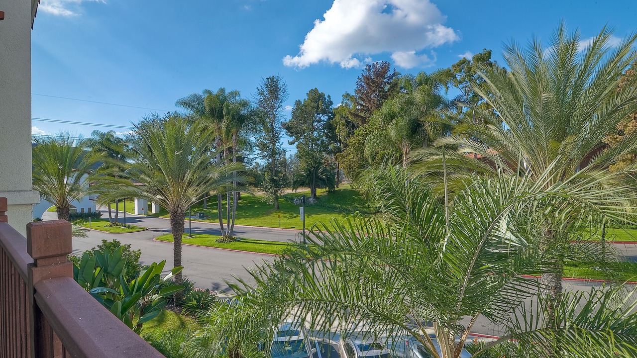 Photo of Outdoor in Carlsbad