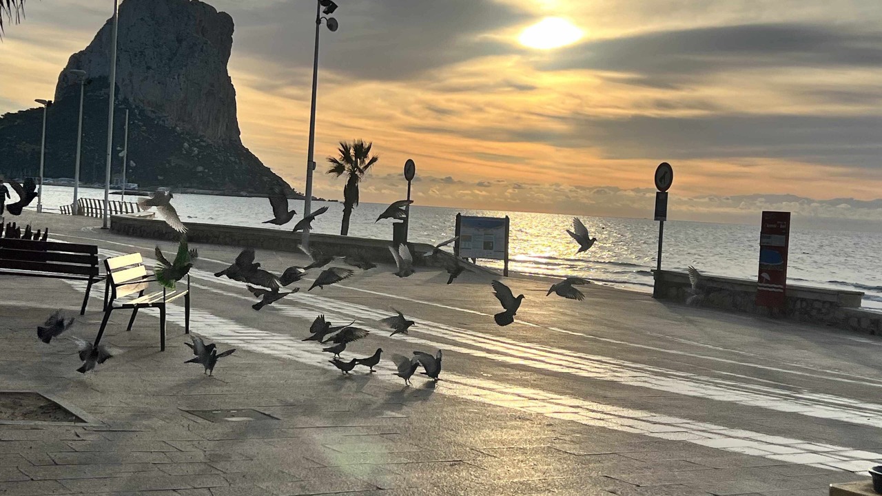 Photo of Others in Calpe