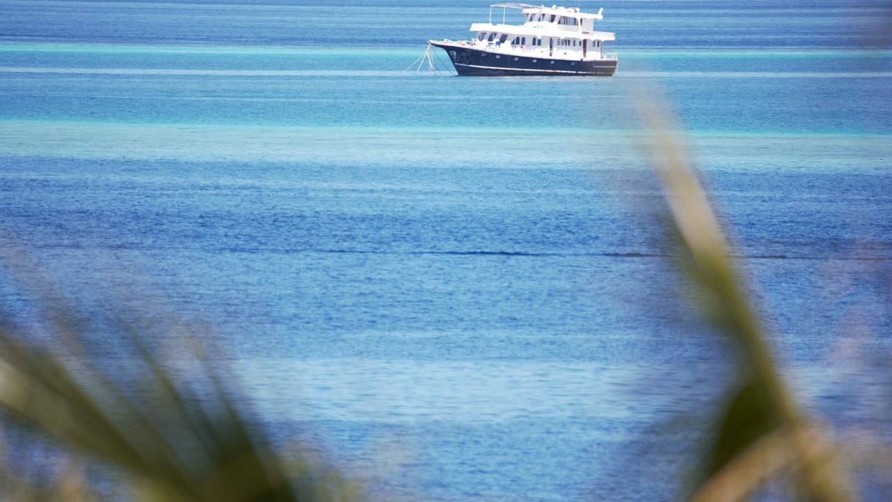 Photo of Others in Thulusdhoo Island