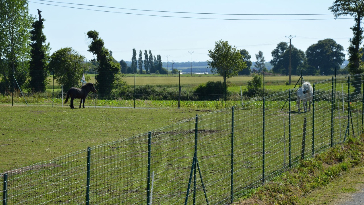 Photo of Others in Plancoet