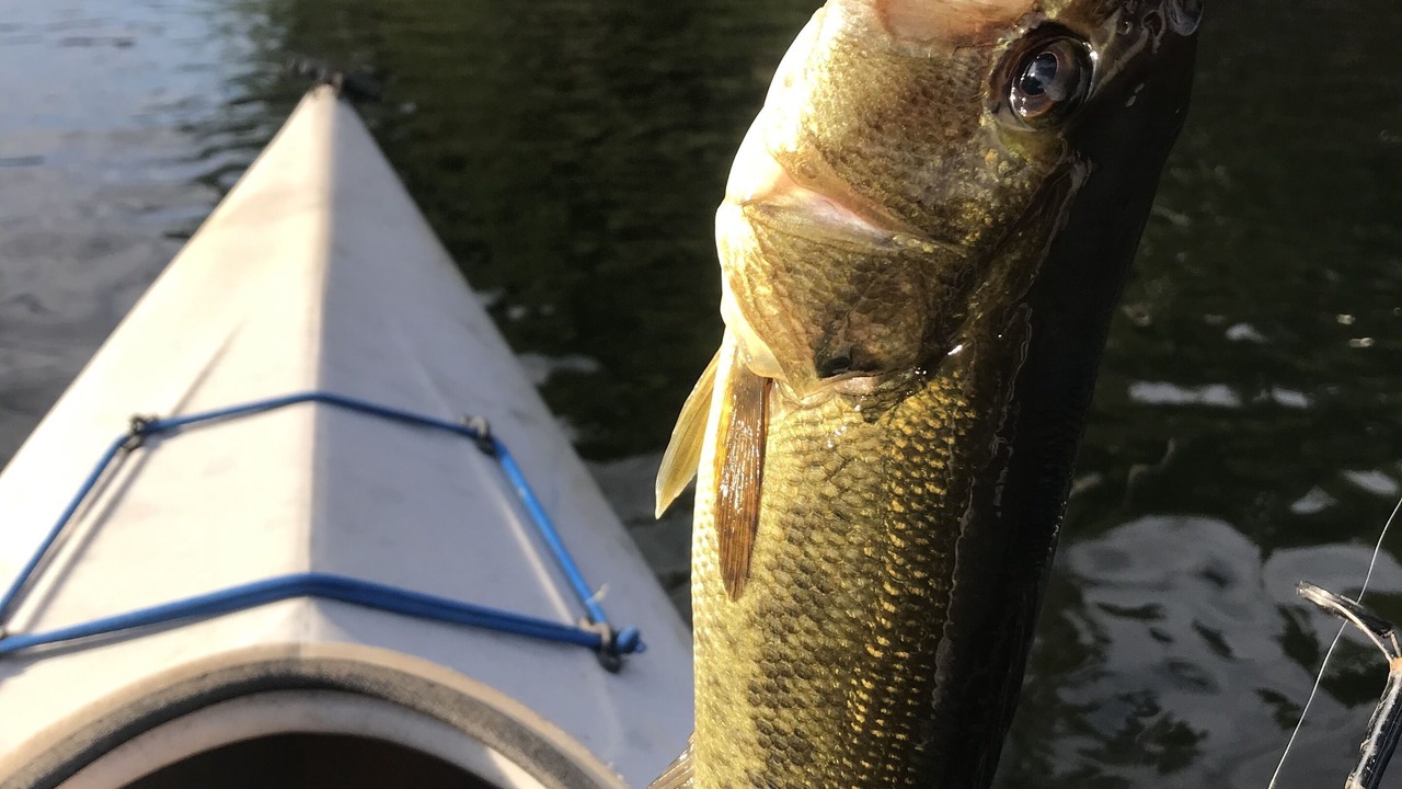 Photo of Others in Lake Luzerne-Hadley