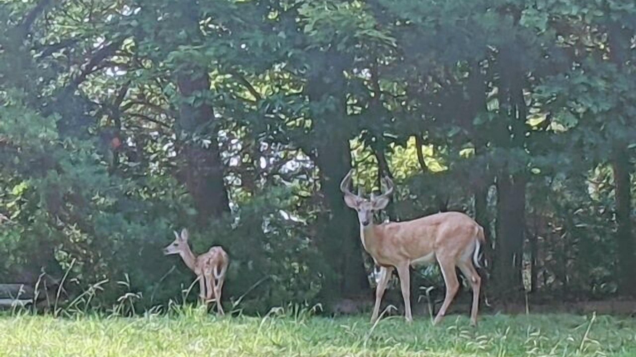 Photo of Outdoor in Smith Mountain Lake
