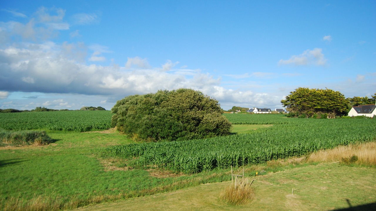 Photo of Others in Plovan