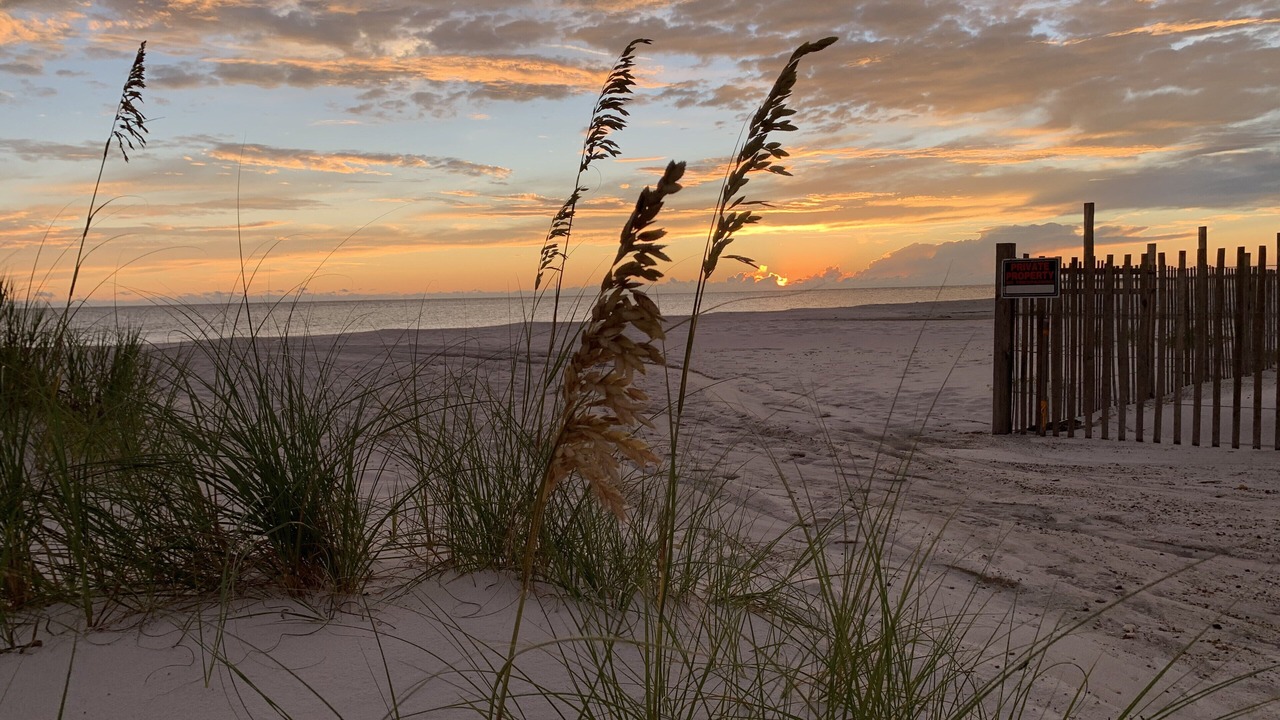 Photo of Others in Mexico Beach
