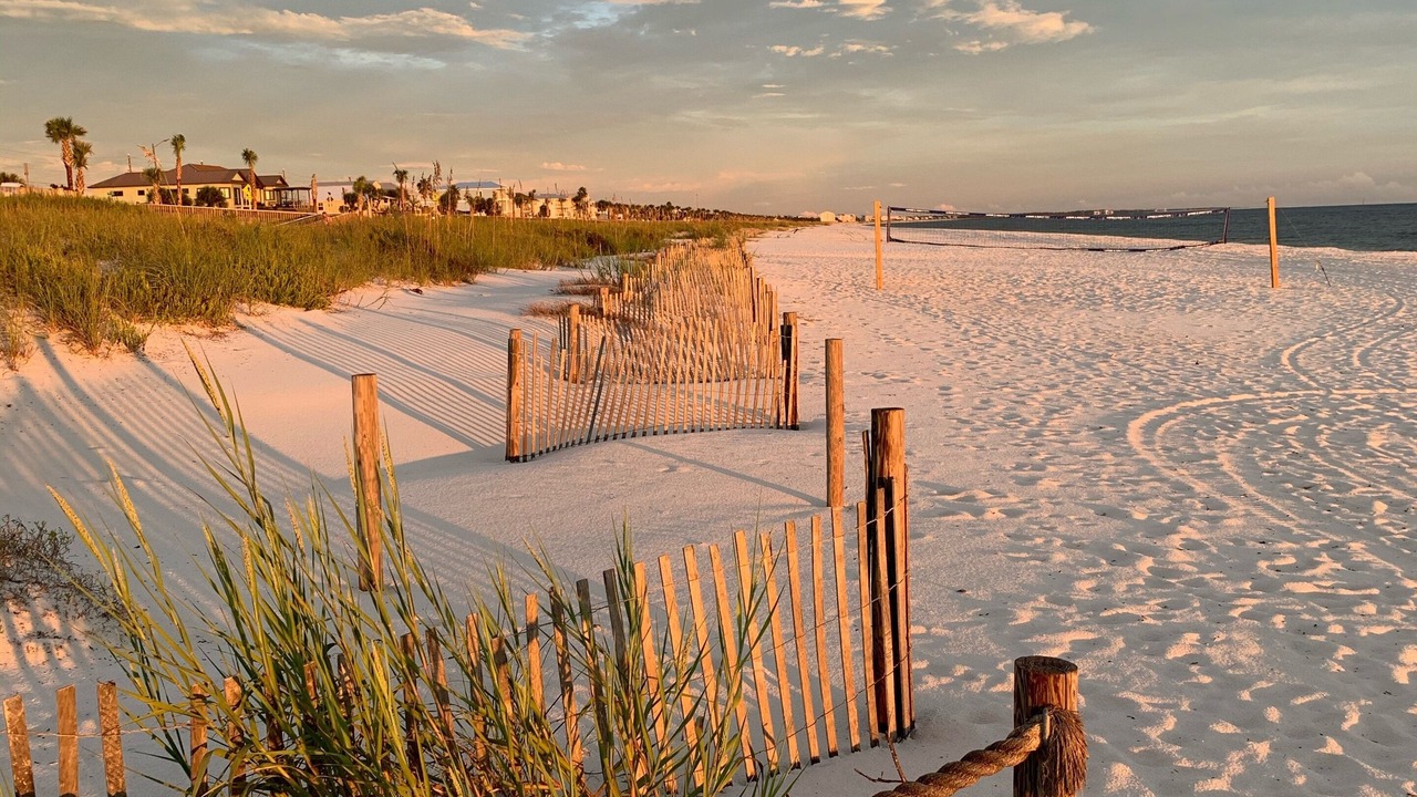 Photo of Others in Mexico Beach