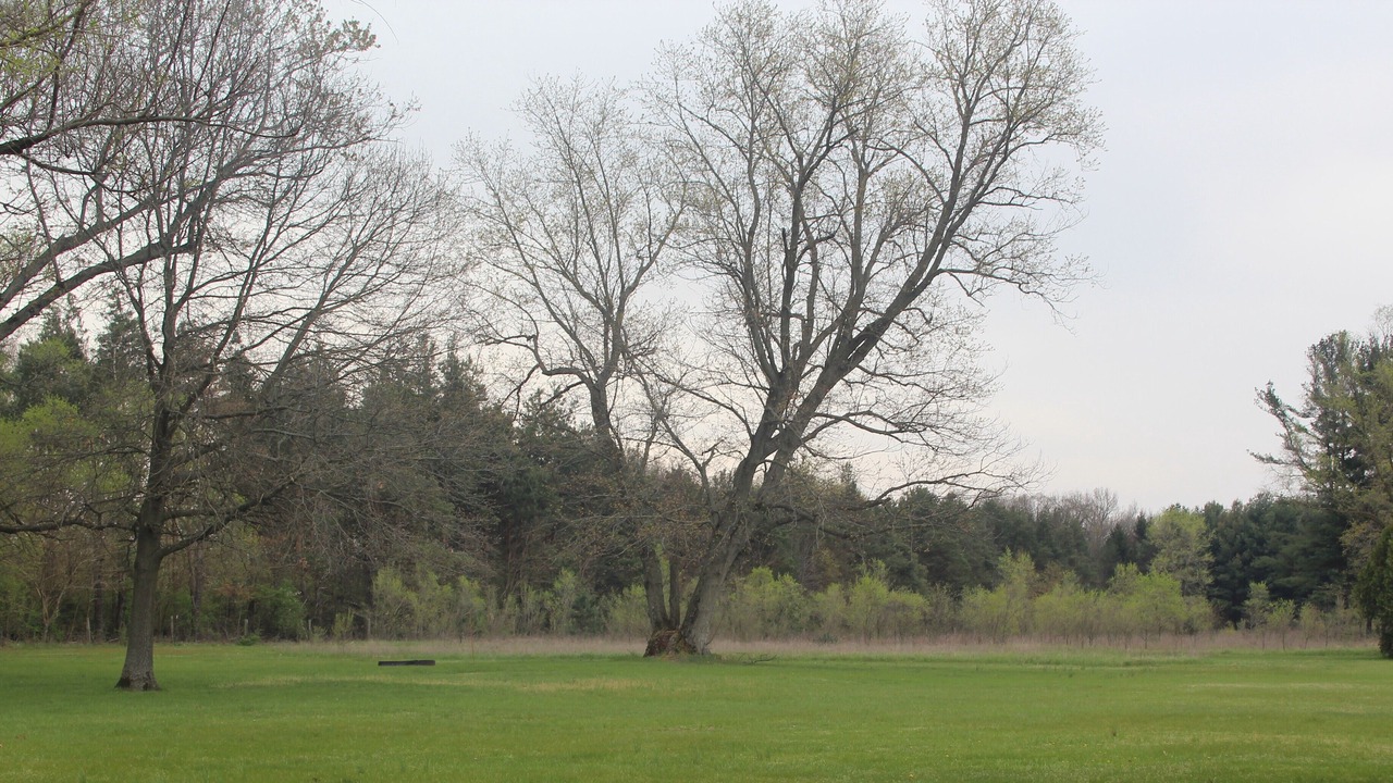 Photo of Others in Donaldson