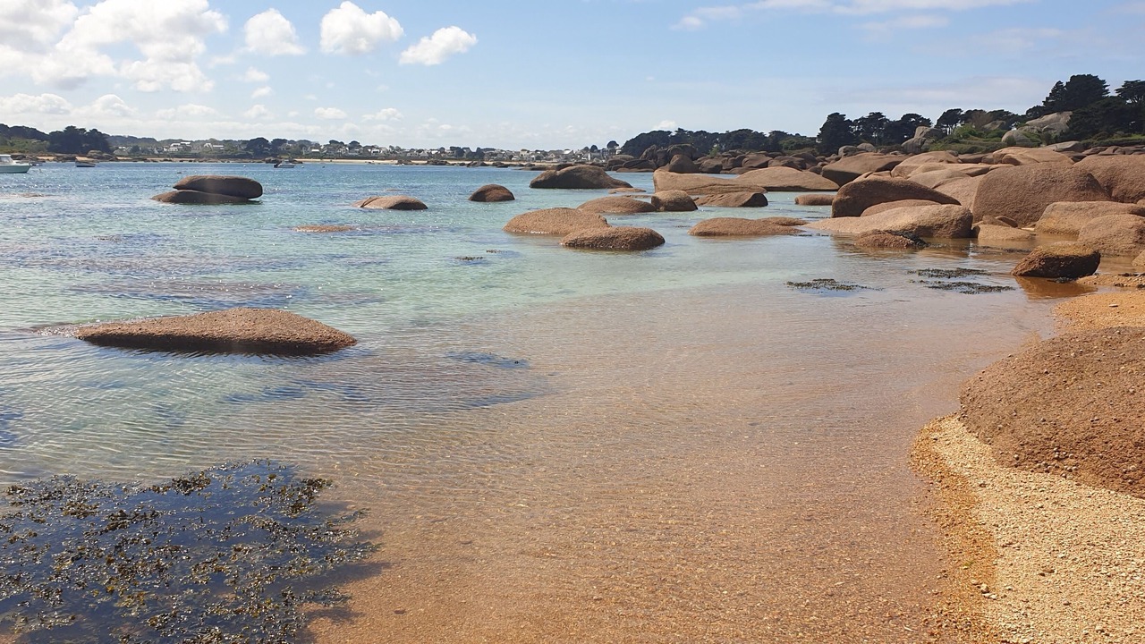 Photo of Others in Planguenoual
