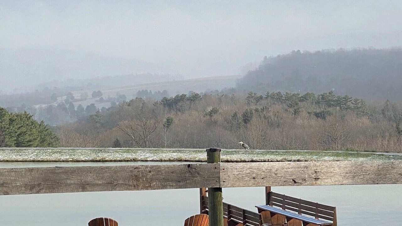 Photo of Outdoor in Dansville