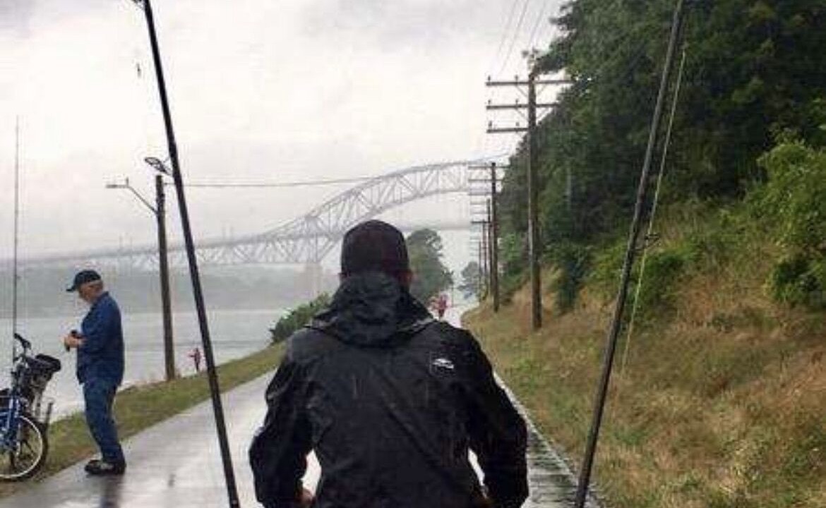 Photo of Others in Wareham